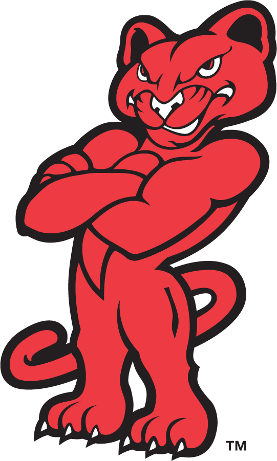 Houston Cougars 1996-2003 Mascot Logo diy iron on heat transfer